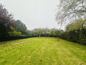 Garden- click for photo gallery